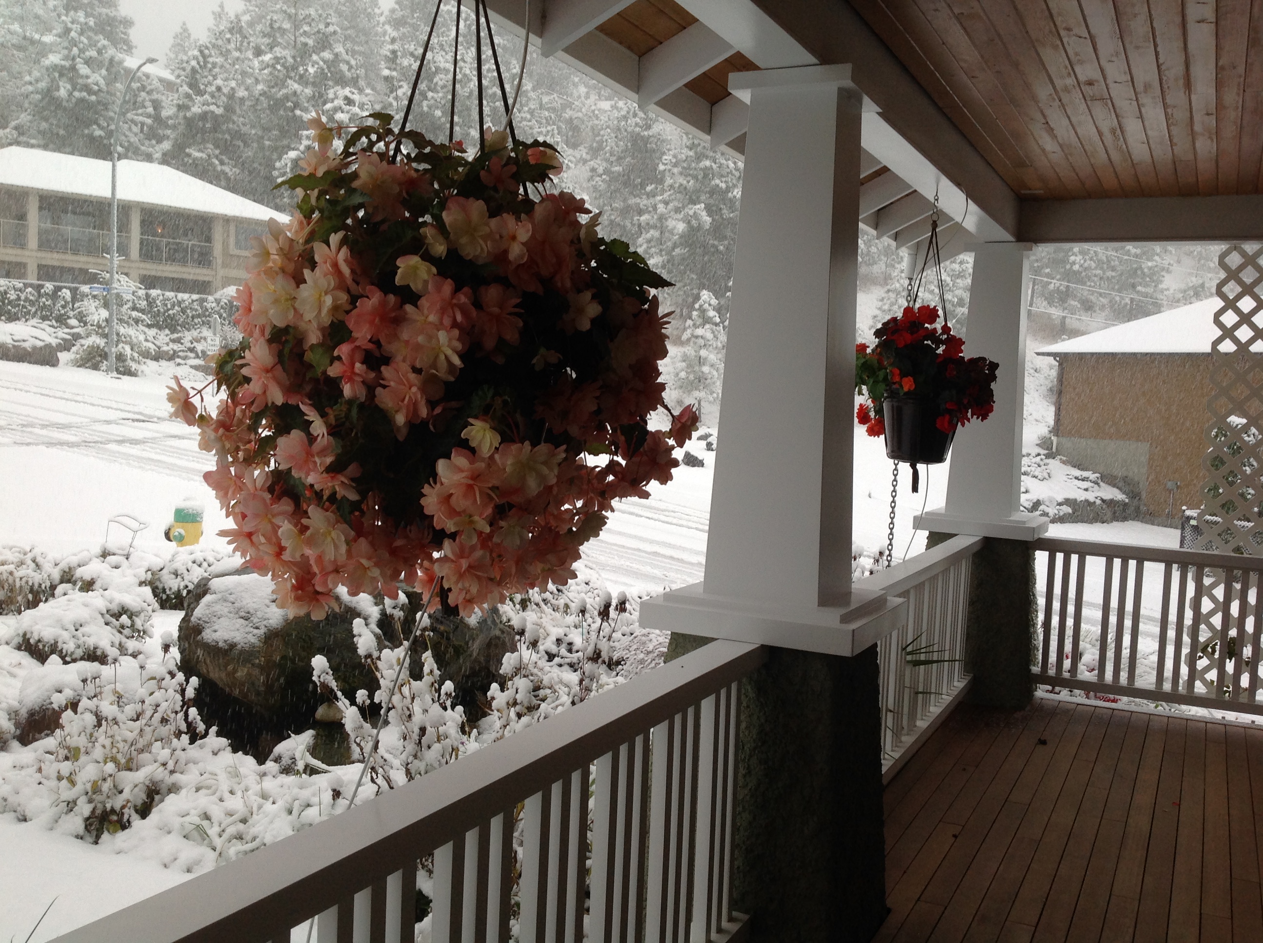 iN PHOTOS: First significant snow of 2020 falls on Okanagan, Kamloops | iNFOnews.ca