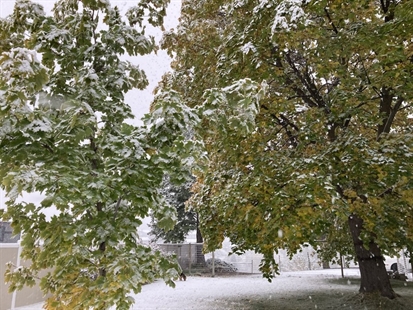 iN PHOTOS: First significant snow of 2020 falls on Okanagan, Kamloops | iNFOnews.ca iN PHOTOS: First significant snow of 2020 falls on Okanagan, Kamloops | iNFOnews.ca