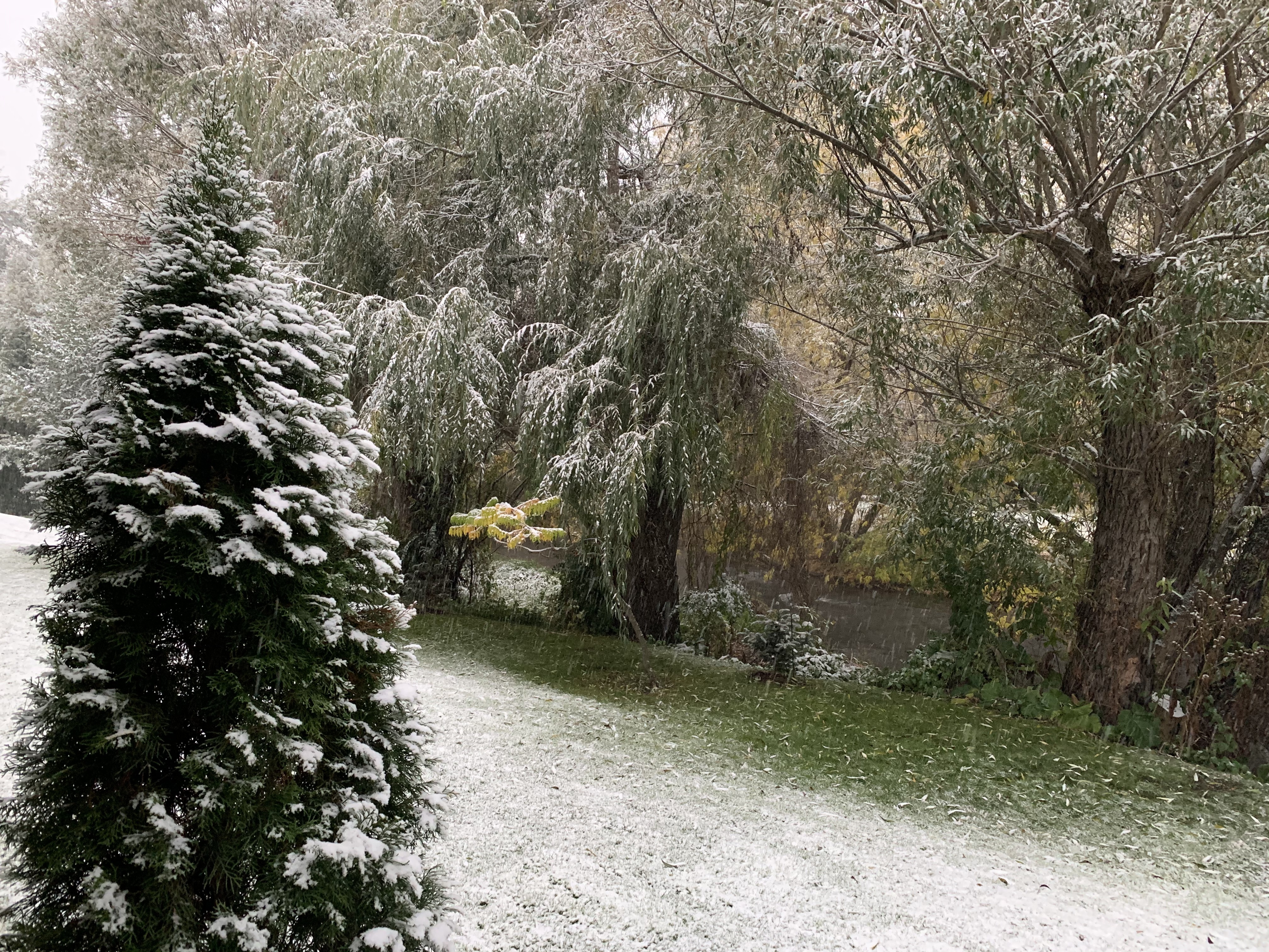 iN PHOTOS: First significant snow of 2020 falls on Okanagan, Kamloops | iNFOnews.ca iN PHOTOS: First significant snow of 2020 falls on Okanagan, Kamloops | iNFOnews.ca