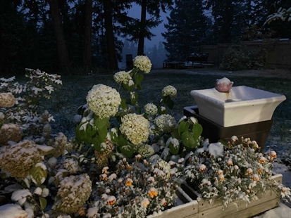 iN PHOTOS: First significant snow of 2020 falls on Okanagan, Kamloops | iNFOnews.ca iN PHOTOS: First significant snow of 2020 falls on Okanagan, Kamloops | iNFOnews.ca