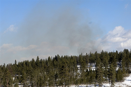 Smoke in Glenmore caused by pine beetle burn | iNFOnews.ca Smoke in Glenmore caused by pine beetle burn | iNFOnews.ca
