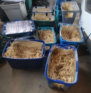 Kamloops woman building temporary winter shelters for feral cats | iNFOnews.ca