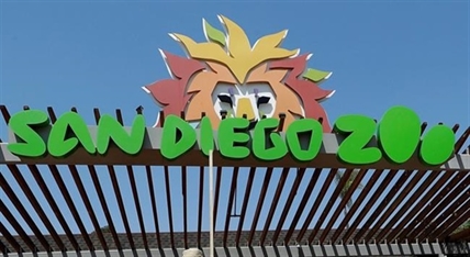 Man arrested after taking daughter into San Diego zoo elephant habitat | iNFOnews.ca Man arrested after taking daughter into San Diego zoo elephant habitat | iNFOnews.ca