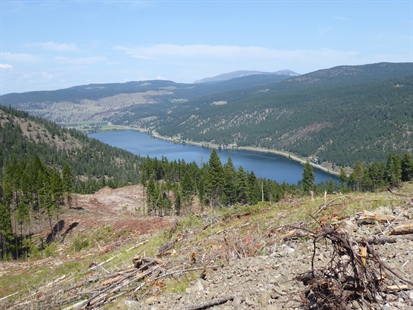 Rock collectors captivated by crystal formations near Monte Lake | iNFOnews.ca