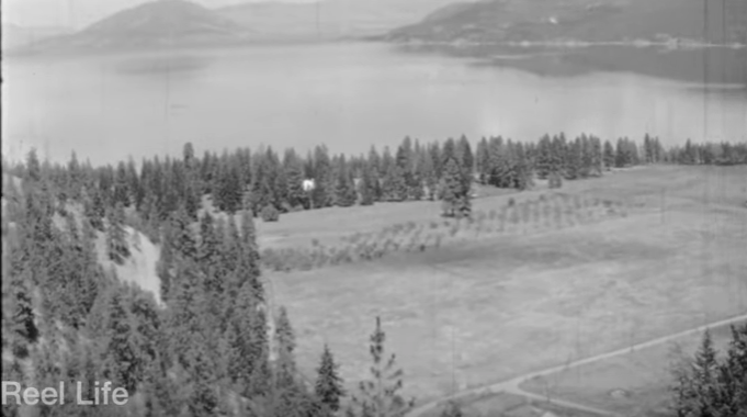 iN VIDEO: See Fintry Estate before new housing came in 1965 | iNFOnews.ca iN VIDEO: See Fintry Estate before new housing came in 1965 | iNFOnews.ca