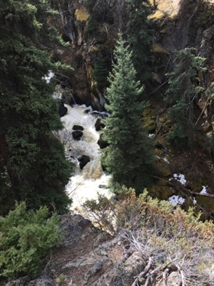 Dog rescued from precarious perch on waterfall ledge near Logan Lake | iNFOnews.ca