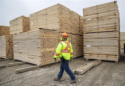 Alberta sets sights on expanding forest products harvest as high prices drive returns | iNFOnews.ca Alberta sets sights on expanding forest products harvest as high prices drive returns | iNFOnews.ca