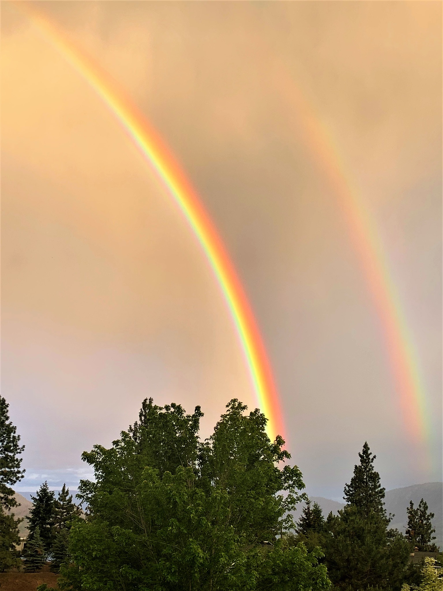 iN PHOTOS: Peachlanders showcase stunning rainbow over Okanagan Lake | iNFOnews.ca