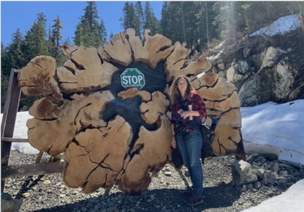 Old-growth activists say they are allied with First Nations. Is that really true? | iNFOnews.ca Old-growth activists say they are allied with First Nations. Is that really true? | iNFOnews.ca
