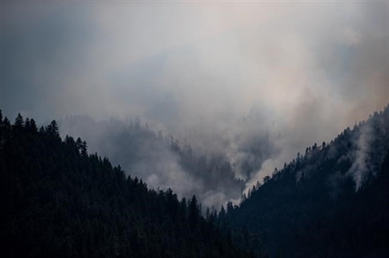B.C. wildfire count nears 250 but cooler temperatures, light rain bring some relief | iNFOnews.ca B.C. wildfire count nears 250 but cooler temperatures, light rain bring some relief | iNFOnews.ca