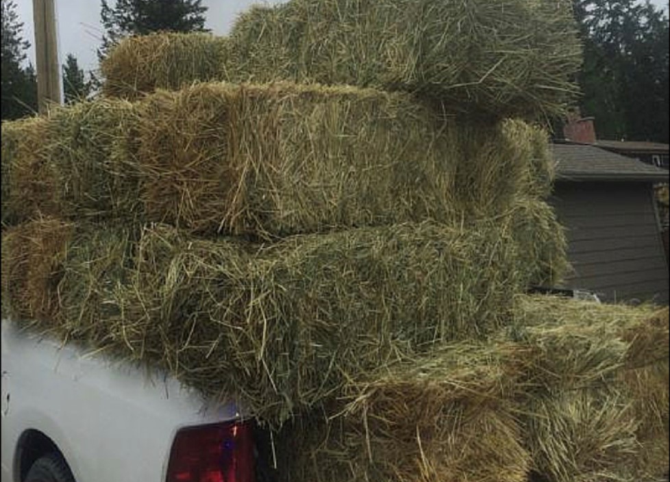 iN PHOTOS: Bizarre, unsafe violations spotted by B.C. commercial vehicle inspectors | iNFOnews.ca iN PHOTOS: Bizarre, unsafe violations spotted by B.C. commercial vehicle inspectors | iNFOnews.ca