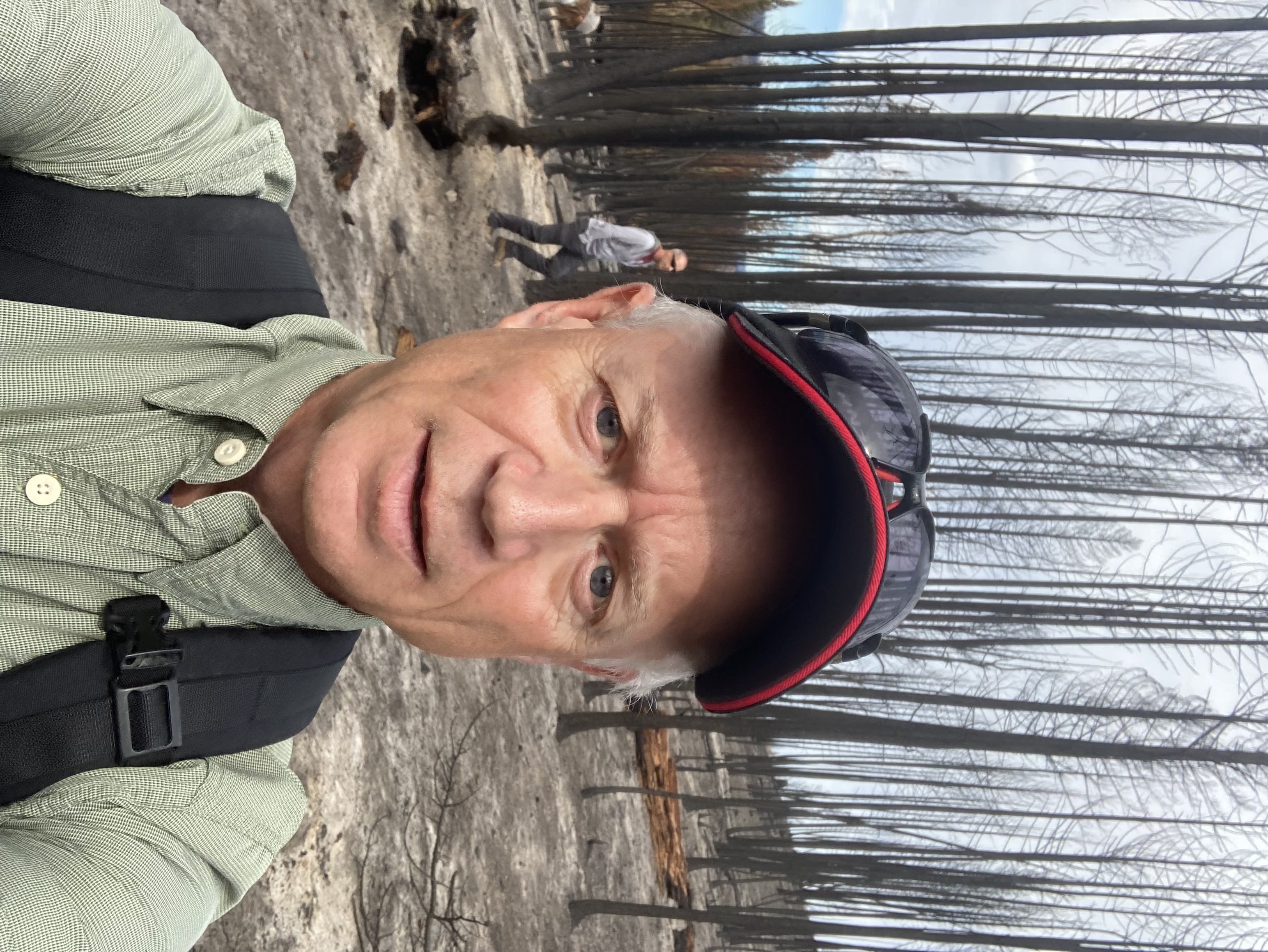 How officials plan to manage Thompson-Okanagan forests after wildfires | iNFOnews.ca