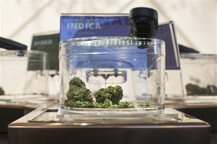 Ontario looks to allow permanent cannabis delivery, pickup for private stores | iNFOnews.ca Ontario looks to allow permanent cannabis delivery, pickup for private stores | iNFOnews.ca