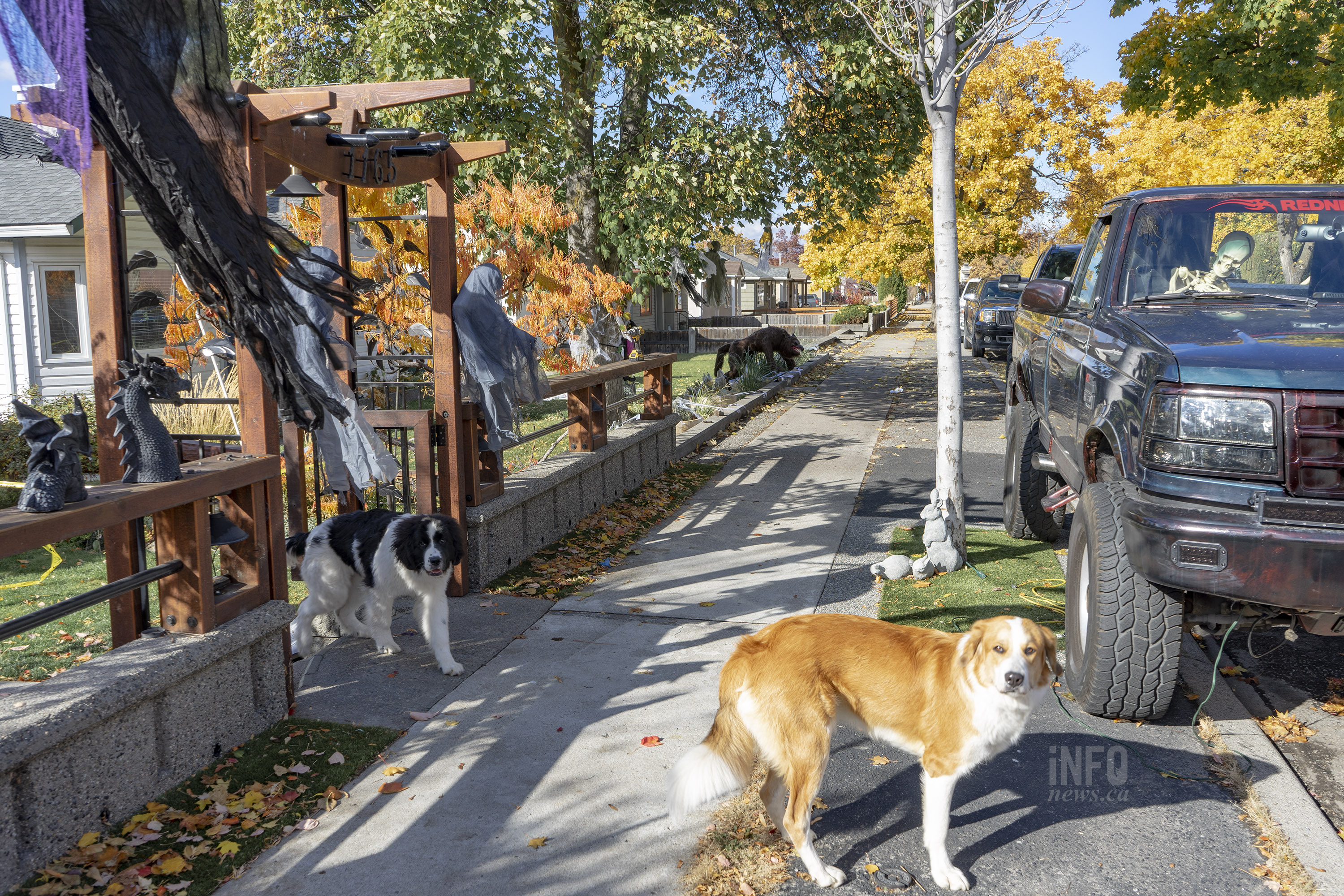 iN PHOTOS: Why the 'K Streets' in Penticton get all the trick or treaters | iNFOnews.ca