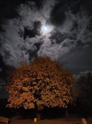 iN PHOTOS: Hunter's Moon lights up night sky in Thompson-Okanagan | iNFOnews.ca