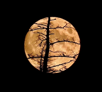 iN PHOTOS: Hunter's Moon lights up night sky in Thompson-Okanagan | iNFOnews.ca