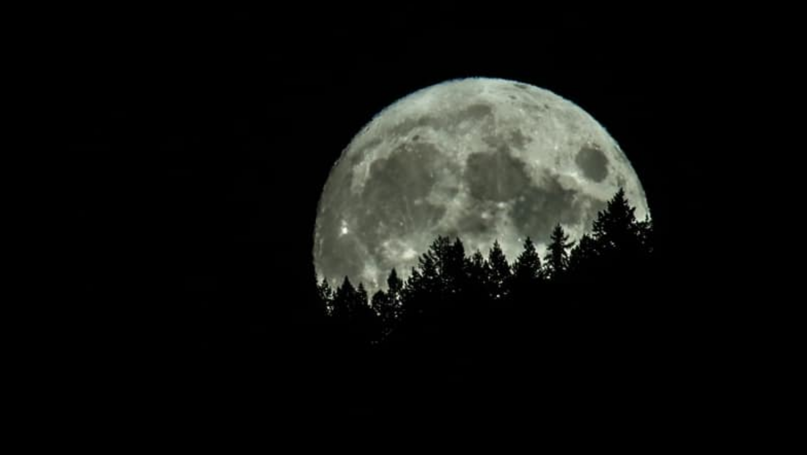 iN PHOTOS: Hunter's Moon lights up night sky in Thompson-Okanagan | iNFOnews.ca