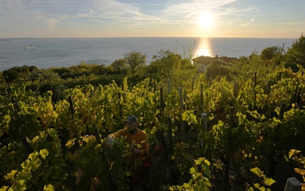 iN PHOTOS: Italy-Croatia fight over Prosecco name gets ready to pop | iNFOnews.ca