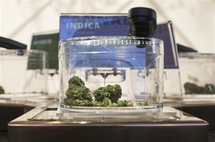 Pot holes: Uneven distribution of cannabis stores a challenge for industry | iNFOnews.ca