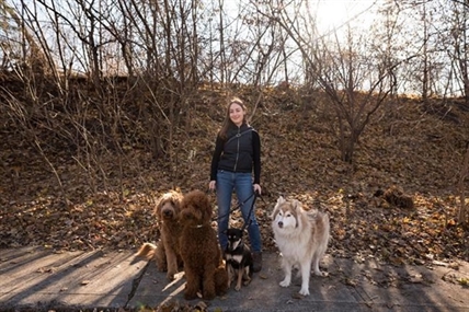 Pandemic puppy boom drives profits, unleashes havoc on pet businesses | iNFOnews.ca