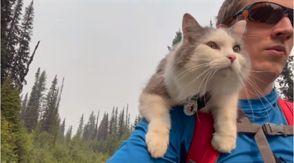 TRENDING NOW: Gary the Canadian hiking cat claims internet fame | iNFOnews.ca