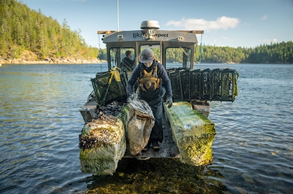 West Coast cleanup in B.C. pulls 50 tonnes of marine debris off island shores | iNFOnews.ca West Coast cleanup in B.C. pulls 50 tonnes of marine debris off island shores | iNFOnews.ca