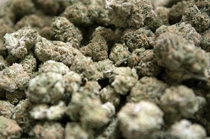 427 seek prequalification for Vermont retail cannabis market | iNFOnews.ca 427 seek prequalification for Vermont retail cannabis market | iNFOnews.ca