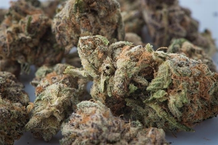 Cannabis company Choom obtains creditor protection, interim financing from Aurora | iNFOnews.ca Cannabis company Choom obtains creditor protection, interim financing from Aurora | iNFOnews.ca