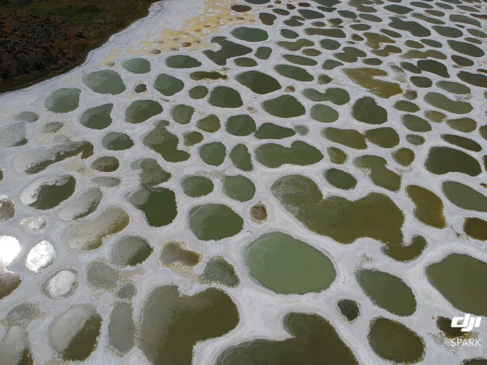 iN PHOTOS: Gorgeous shots taken of Spotted Lake near Osoyoos | iNFOnews.ca iN PHOTOS: Gorgeous shots taken of Spotted Lake near Osoyoos | iNFOnews.ca