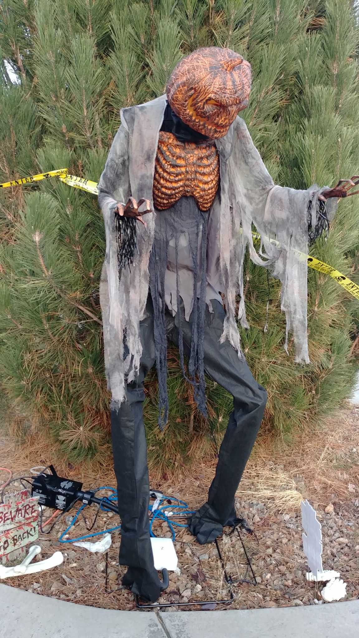 Kamloops family starts haunted house planning early with giant skeletons | iNFOnews.ca