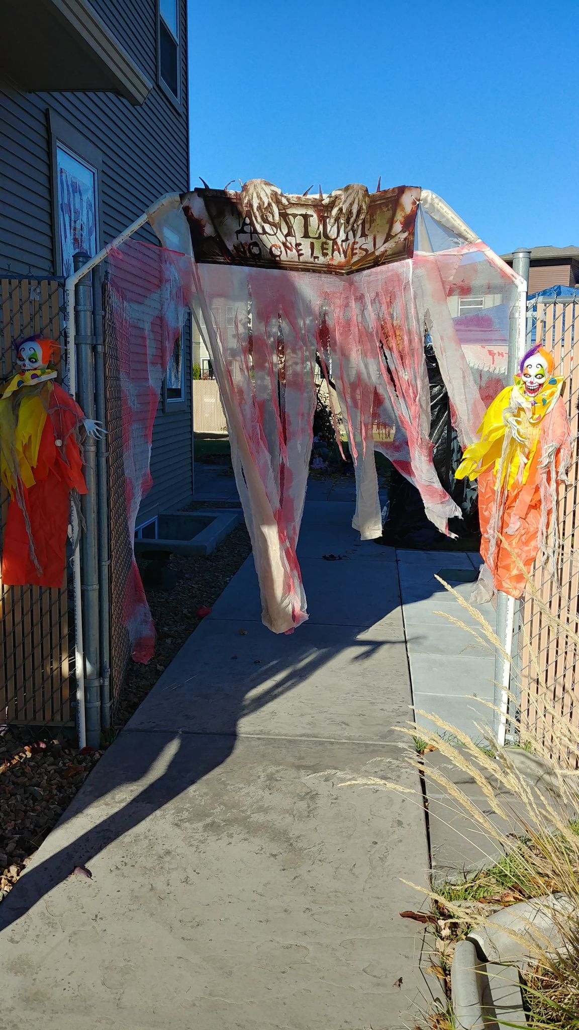 Kamloops family starts haunted house planning early with giant skeletons | iNFOnews.ca