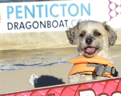 Thousands coming to Penticton for Dragon Boat Festival | iNFOnews.ca