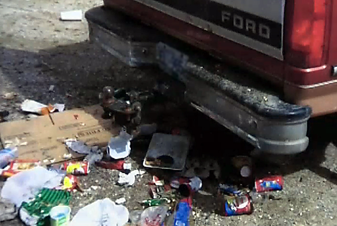 Mother bear and cubs shot in Summerland | iNFOnews.ca Mother bear and cubs shot in Summerland | iNFOnews.ca