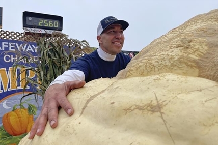 2,560-pound pumpkin wins California contest; sets record | iNFOnews.ca