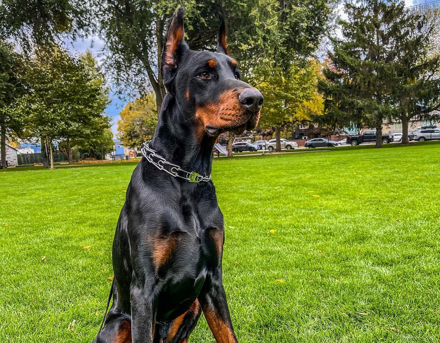 Driver involved in deadly Coquihalla crash grateful for courageous bystanders | iNFOnews.ca