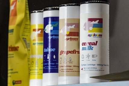 Flavoured cannabis marketing in U.S. criticized for targeting kids | iNFOnews.ca