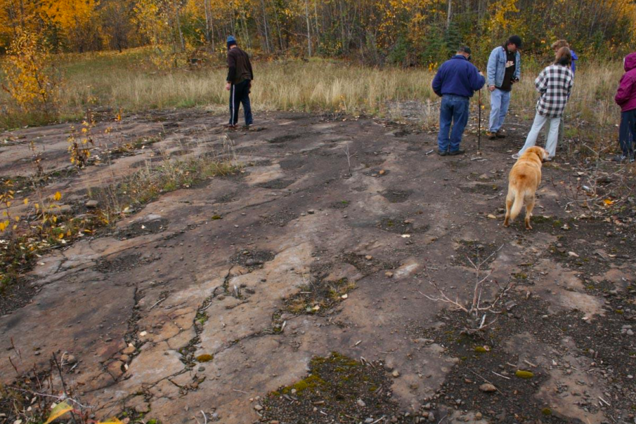 Albertan who stole dino footprints from B.C. is going to jail for 25 days | iNFOnews.ca Albertan who stole dino footprints from B.C. is going to jail for 25 days | iNFOnews.ca