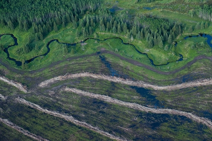 Blueberry River First Nations beat B.C. in court and now everything’s changing | iNFOnews.ca