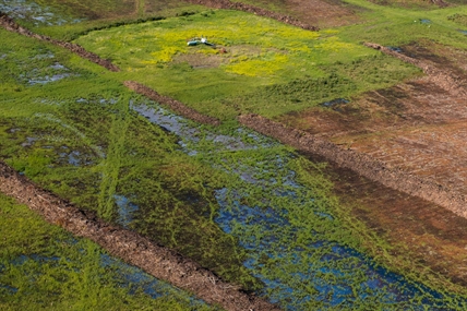 Blueberry River First Nations beat B.C. in court and now everything’s changing | iNFOnews.ca