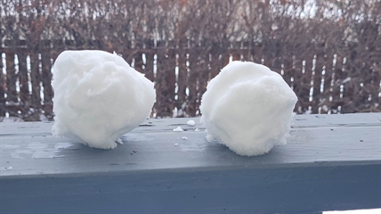 Milwaukee man given 16 years for shooting at kids throwing snowballs | iNFOnews.ca Milwaukee man given 16 years for shooting at kids throwing snowballs | iNFOnews.ca