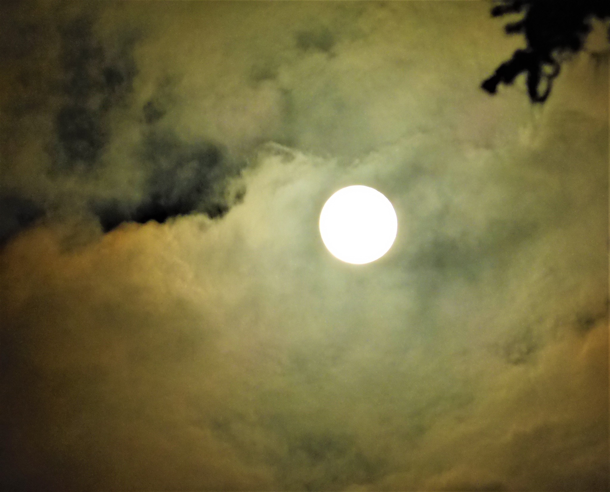 iN PHOTOS: Full Moon peaks through cloudy skies in Kamloops, Okanagan | iNFOnews.ca iN PHOTOS: Full Moon peaks through cloudy skies in Kamloops, Okanagan | iNFOnews.ca