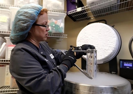 Some Canadian employers offer egg freezing as part of benefit plan | iNFOnews.ca