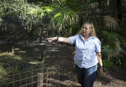 Owners of big cat refuge from 'Tiger King' selling property | iNFOnews.ca Owners of big cat refuge from 'Tiger King' selling property | iNFOnews.ca