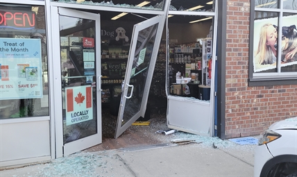 Driver who crashed into Lake Country pet store won't be charged | iNFOnews.ca Driver who crashed into Lake Country pet store won't be charged | iNFOnews.ca