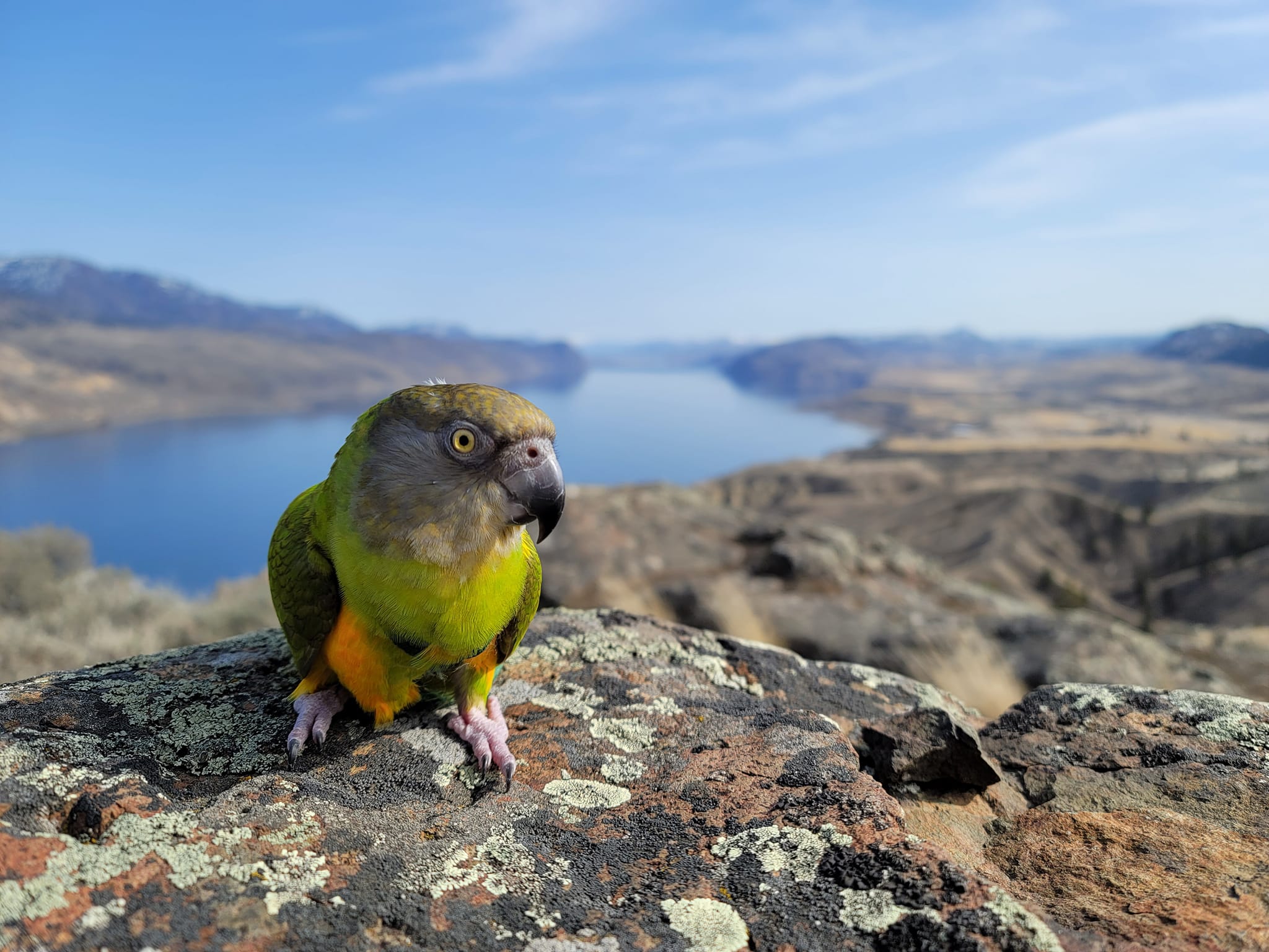 Kamloops woman has colourful hiking buddies | iNFOnews.ca Kamloops woman has colourful hiking buddies | iNFOnews.ca