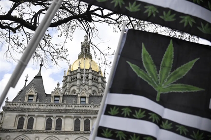 Connecticut seeks to rein in high TCH marijuana products | iNFOnews.ca