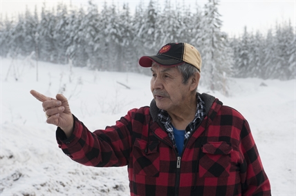 THE LAST 33 CARIBOU: Fighting for the survival of a B.C. herd | iNFOnews.ca