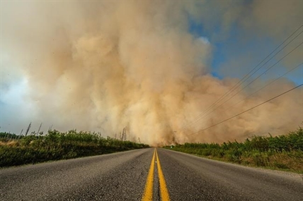 New wildfire in B.C.'s central Interior sparks evacuation order in parts of Cariboo | iNFOnews.ca