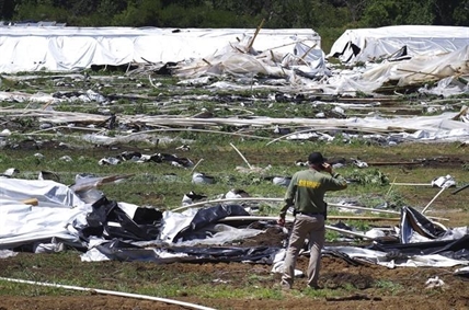 Oregon to crack down on illegal pot growers by holding landowners responsible | iNFOnews.ca Oregon to crack down on illegal pot growers by holding landowners responsible | iNFOnews.ca