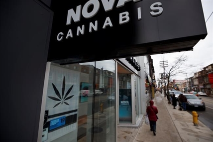 Ontario cannabis regulator wants feedback on rules restricting window displays | iNFOnews.ca